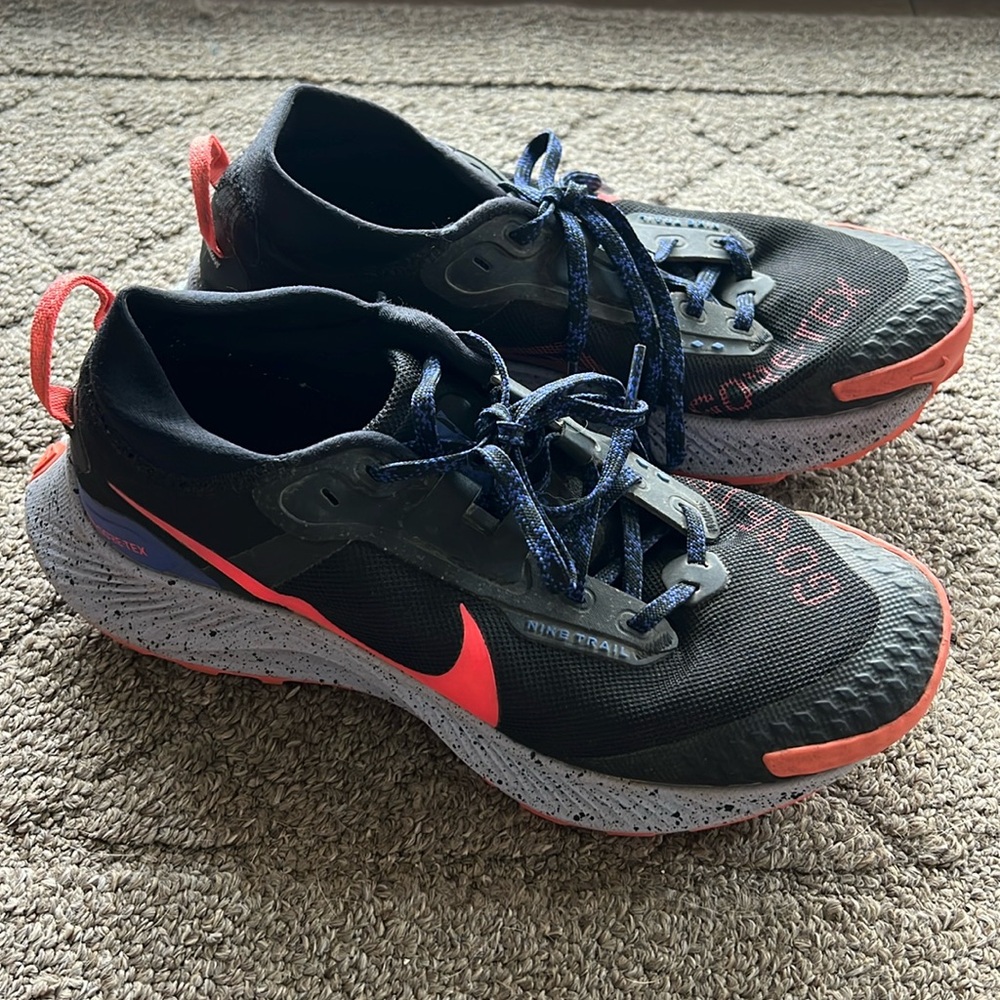 Nike Pegasus trail gortex